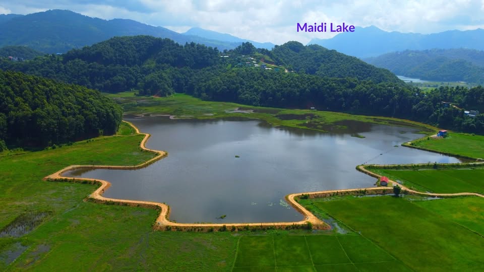 Maidi Lake Lotus Wetland Pokhara